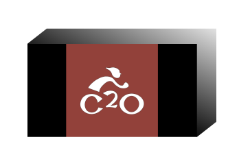 C20 Folding Bicycle (Bespoke) with Travel Case